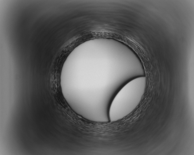 X0000098130870200804171057