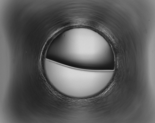 X0000098130876200804171057
