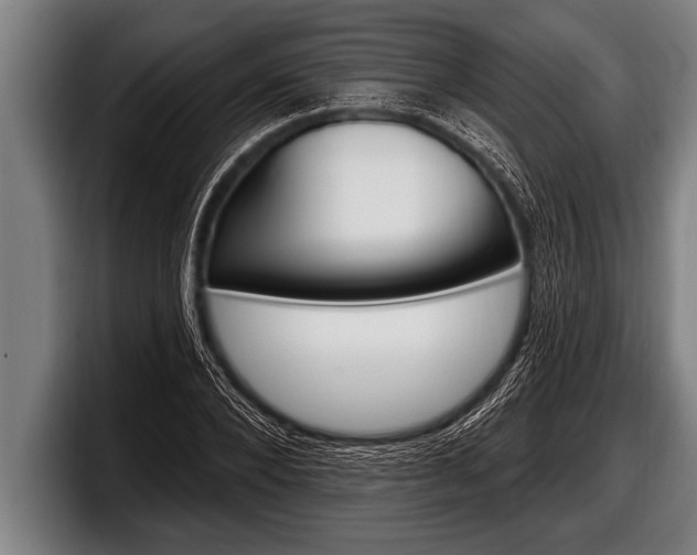 X0000098130880200804171057