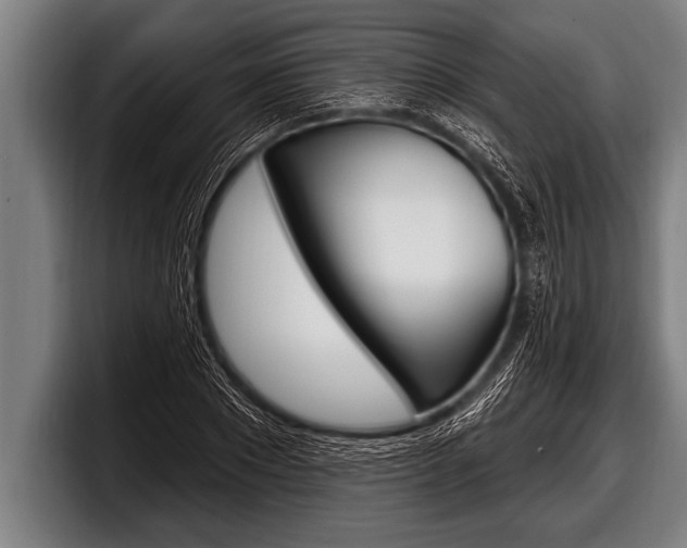 X0000098130881200804171057