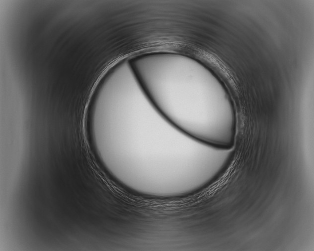 X0000098130883200804171057