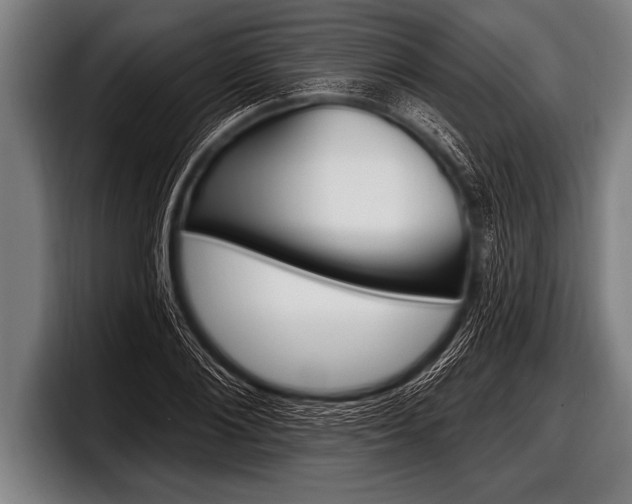 X0000098130884200804171057