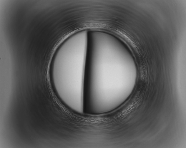 X0000098130885200804171057