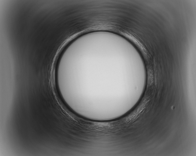 X0000098130886200804171057
