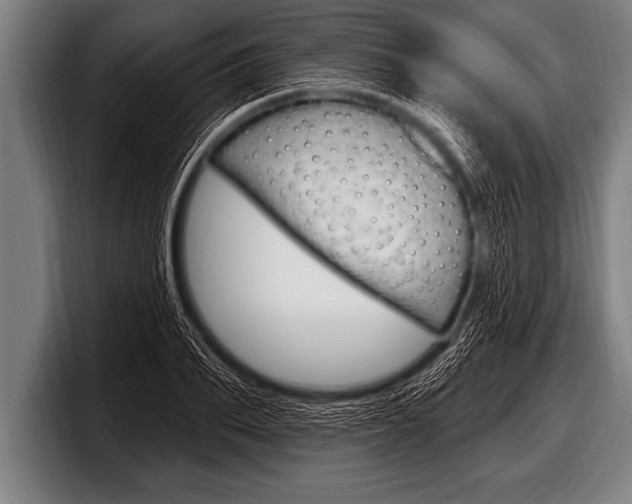X0000098130887200804171057