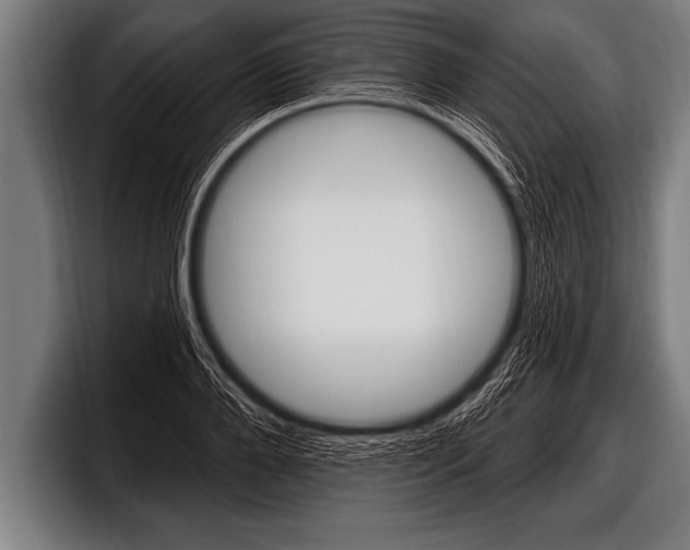 X0000098130888200804171057