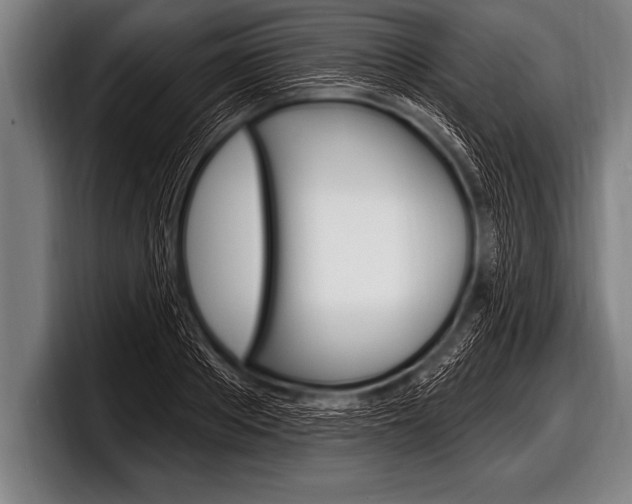 X0000098130889200804171057