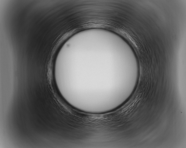 X0000098130890200804171057