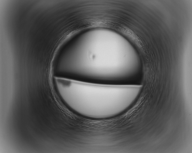 X0000098130892200804171057