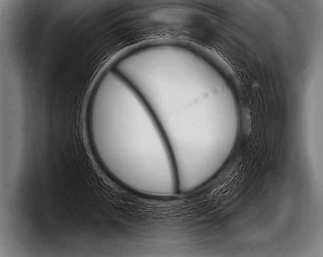 X0000098130895200804171057