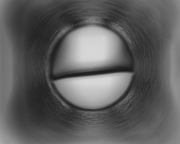 X0000098130898200804171057
