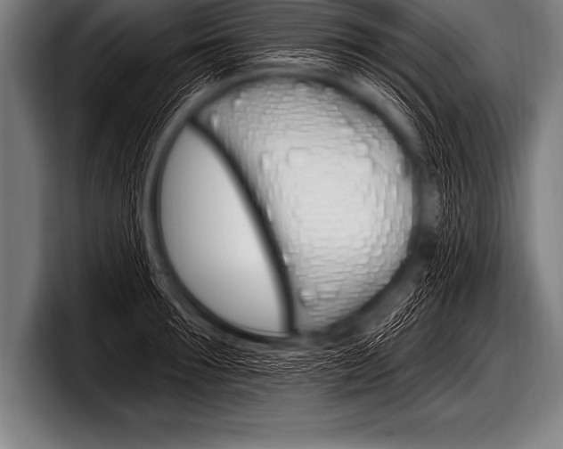 X0000098130899200804171057