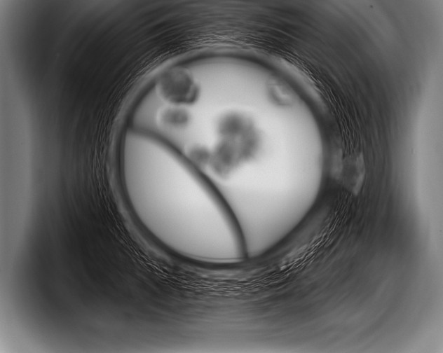 X0000098130903200804171056