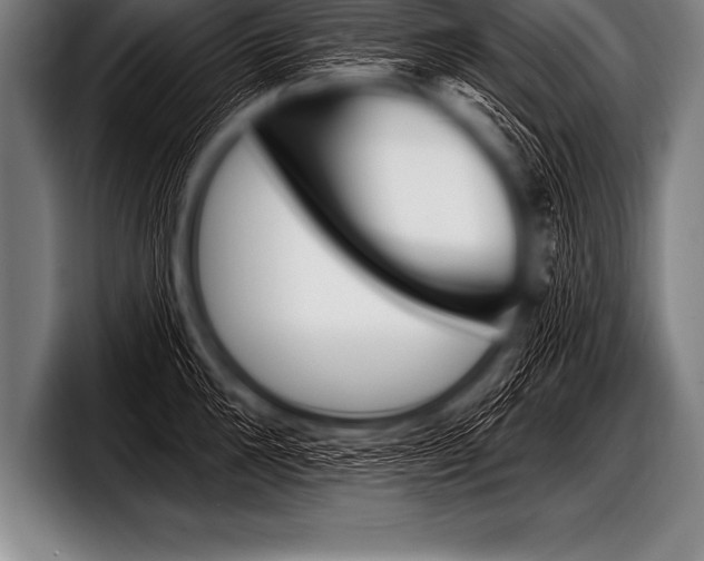 X0000098130904200804171056