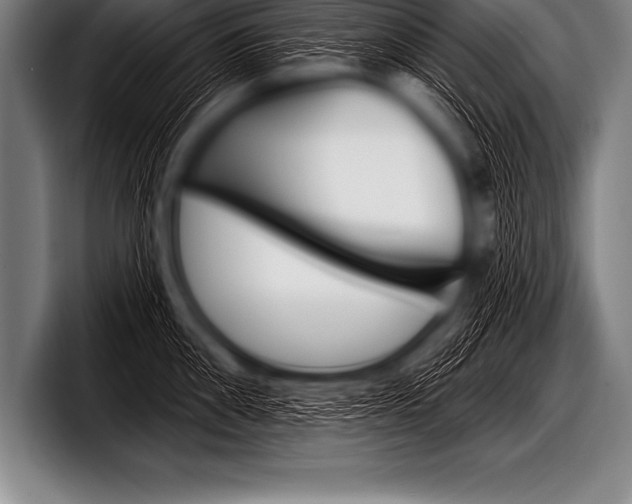 X0000098130906200804171056
