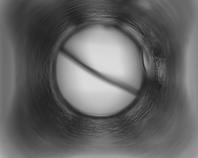 X0000098130907200804171056