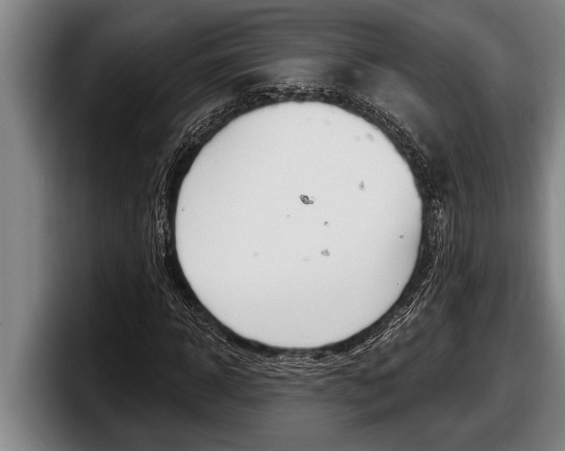X0000098130918200804171056