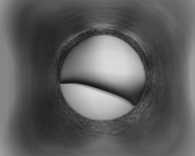 X0000098130919200804171056
