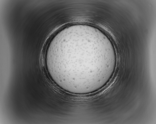 X0000098130925200804171056