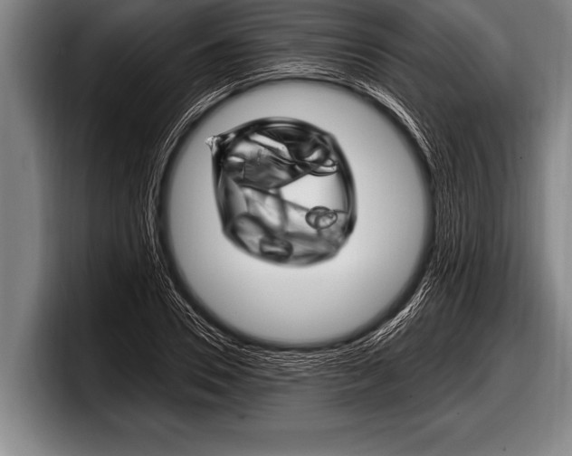 X0000098130930200804171056
