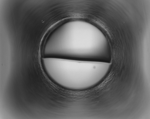 X0000098130935200804171056