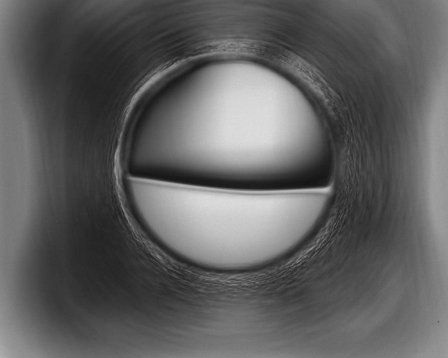 X0000098130936200804171056