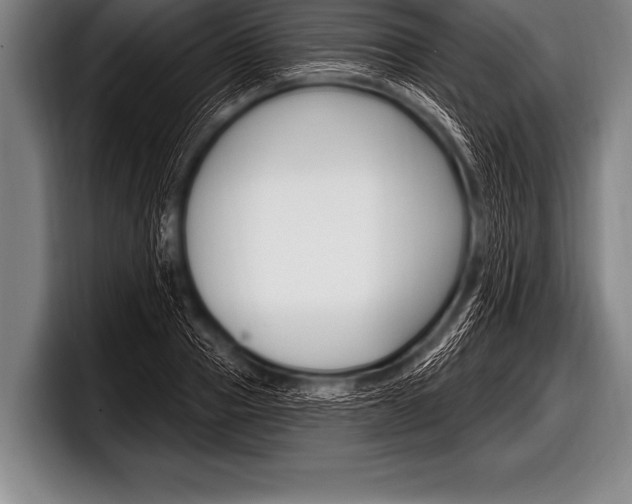 X0000098130937200804171056