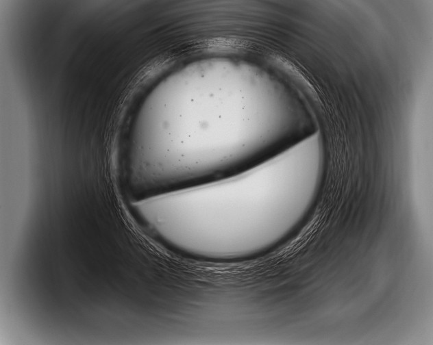 X0000098130938200804171056