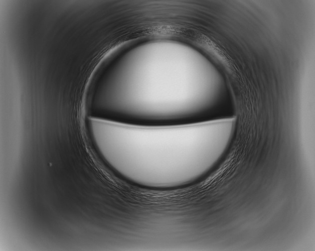 X0000098130940200804171056