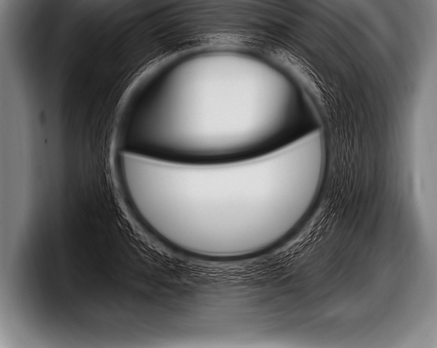 X0000098130944200804171056