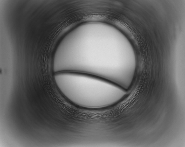 X0000098130945200804171056