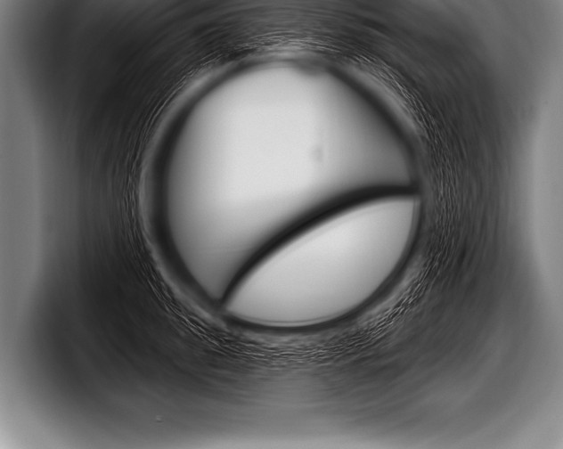 X0000098130949200804171056