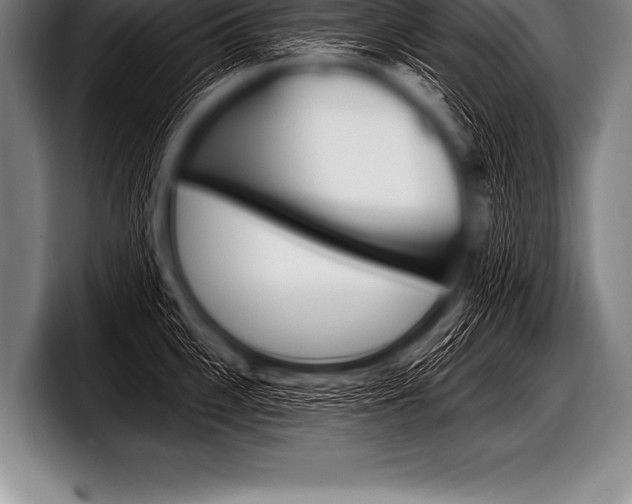 X0000098130951200804171056