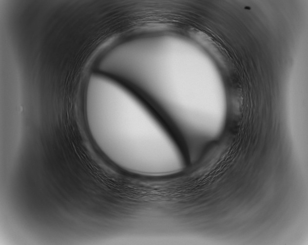 X0000098130954200804171056