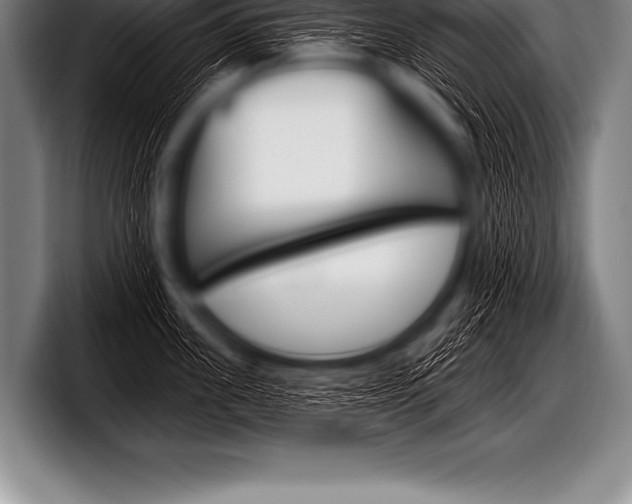 X0000098130955200804171056