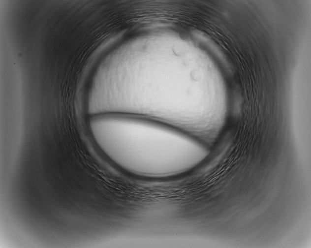 X0000098130957200804171056
