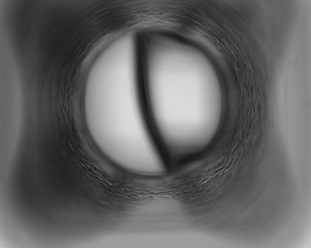 X0000098130960200804171056