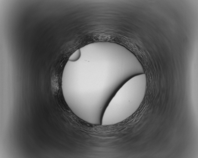 X0000098130962200804171056