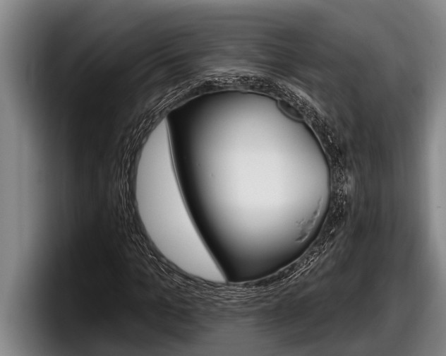 X0000098130965200804171056