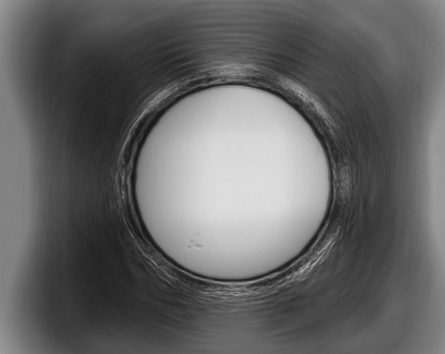 X0000098130970200804171056