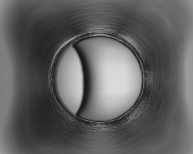X0000098130971200804171056