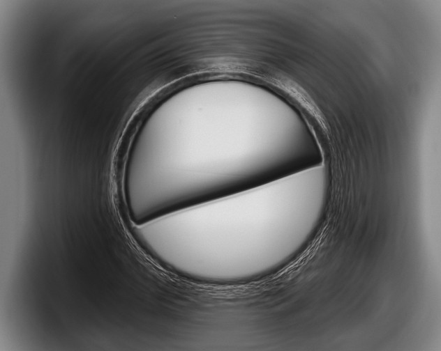 X0000098130972200804171056