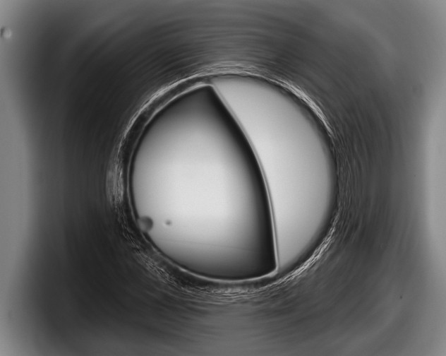 X0000098130973200804171056