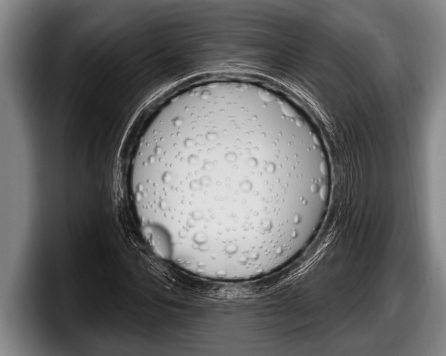 X0000098130974200804171056