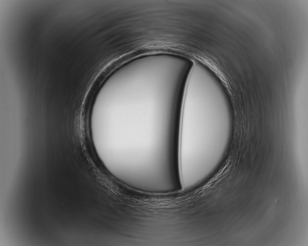 X0000098130976200804171055
