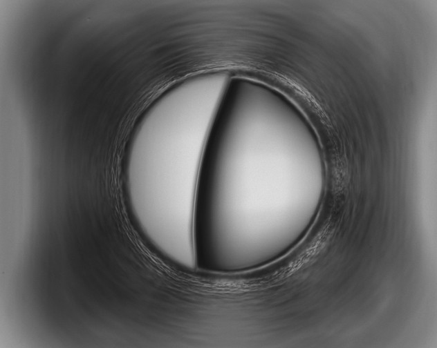 X0000098130977200804171055