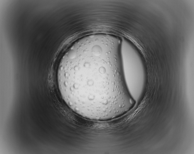 X0000098130978200804171055