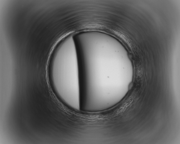 X0000098130979200804171055