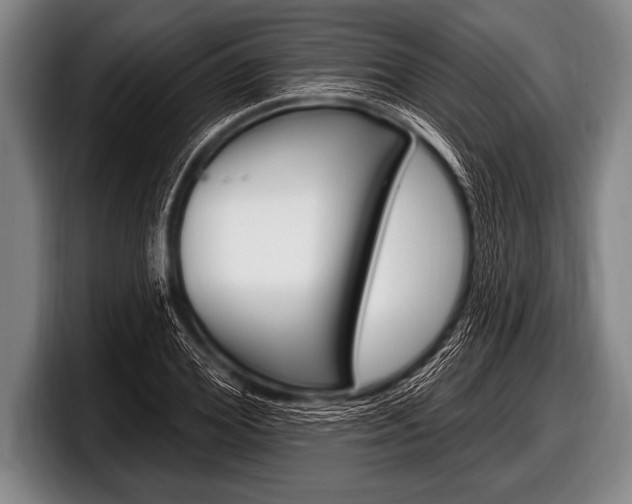 X0000098130980200804171055