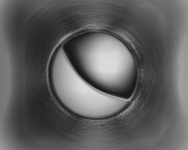 X0000098130981200804171055
